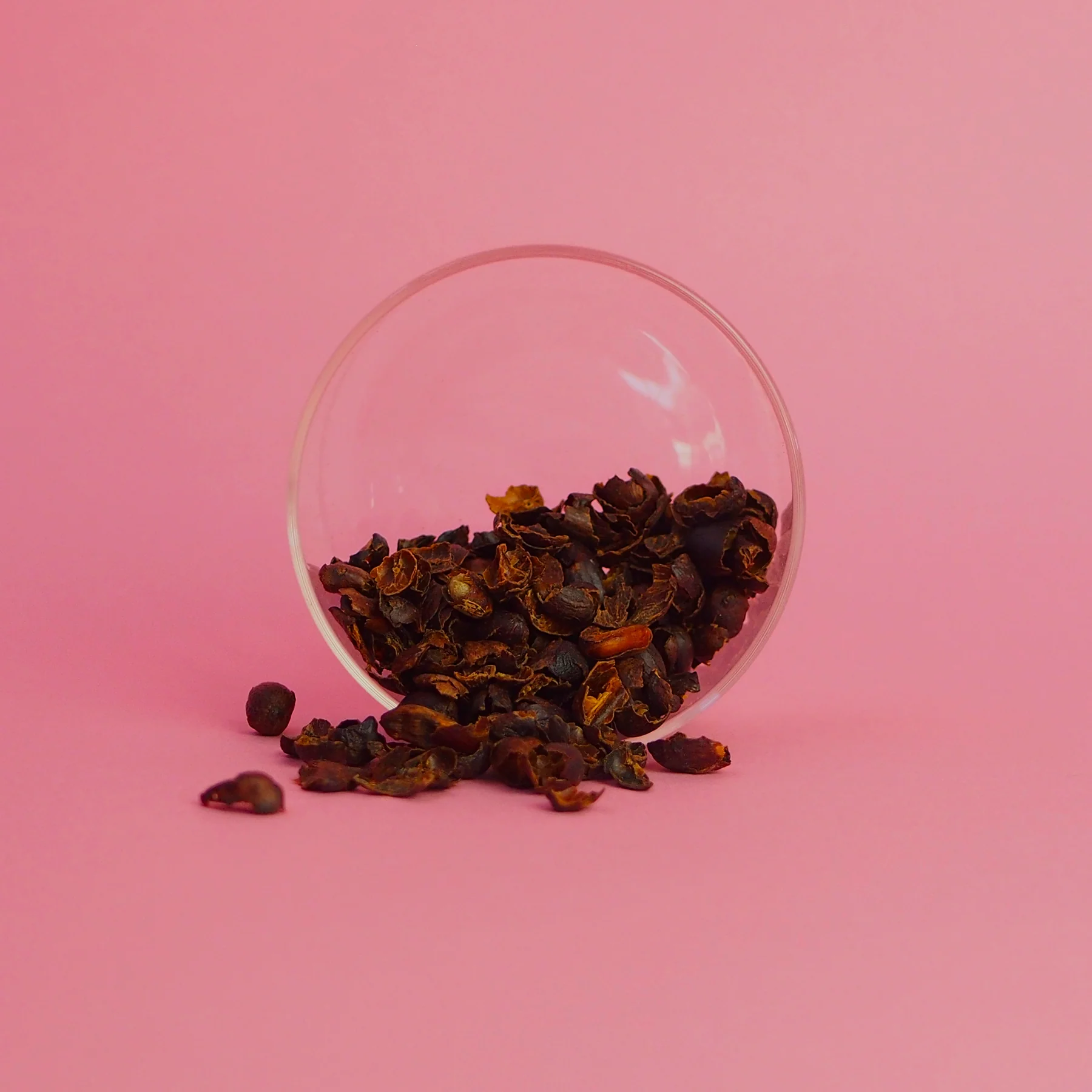 Cascara Ethiopie Galeh